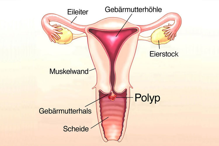 weibliche vagina bilder nach der geburt